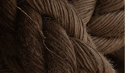 Mise en beauté+